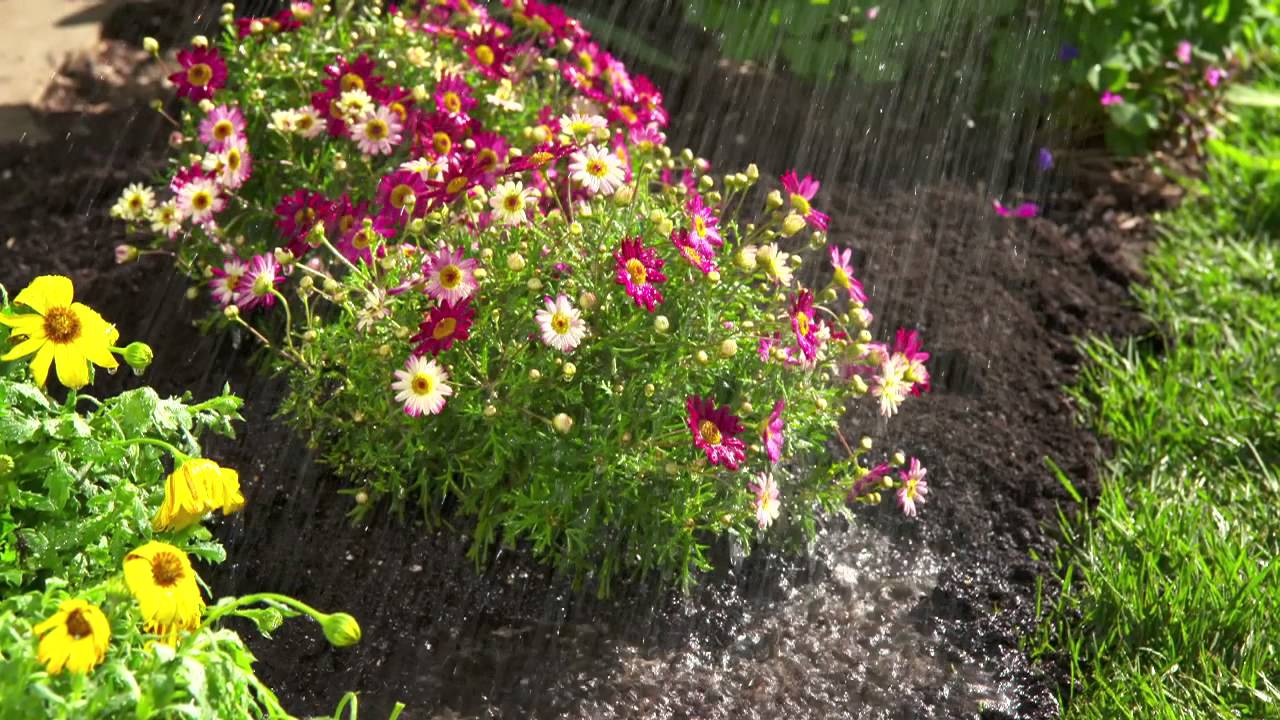 The Easy Way to Feed and Water Your Garden at the Same Time