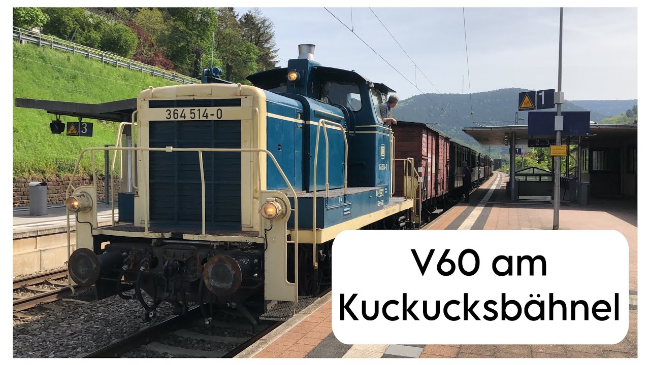 V 60 im Pfälzer Wald I Kuckucksbähnel Eröffnungsfahrt 2024