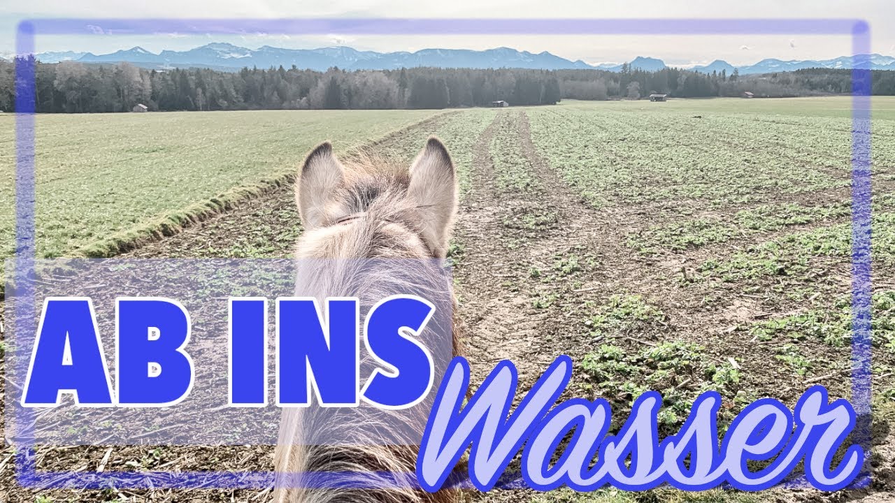 WALDAUSRITT I MIT PFERD AUSREITEN I AB INS WASSER