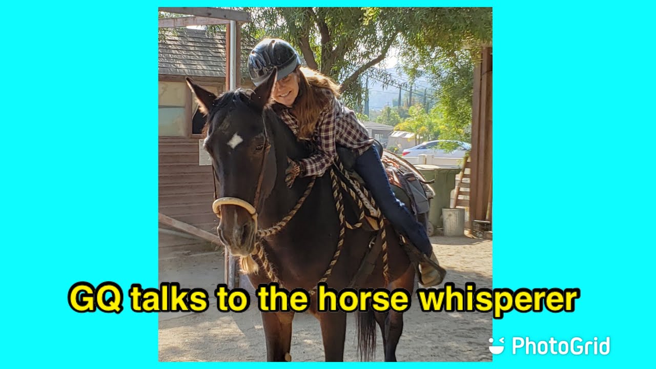 GQ TALKS TO LYDIA HIBY: a horse communicator talks to my horse and tells me his secrets about life