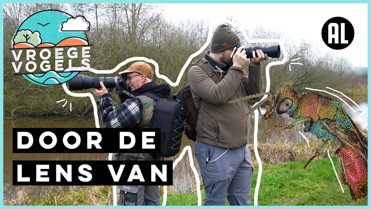 De 'kleintjes' fotograferen | Door de lens van | Vroege Vogels