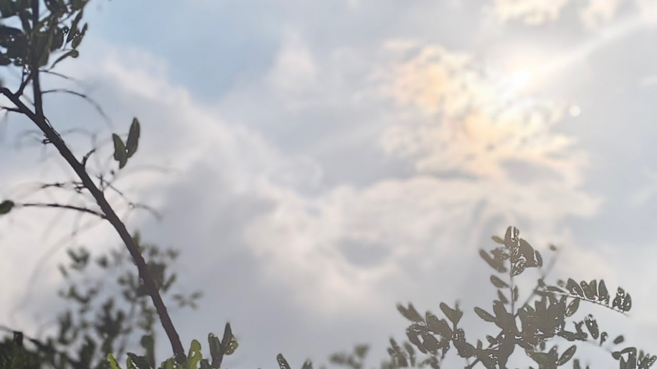 Misty Vibes 😍 is live!