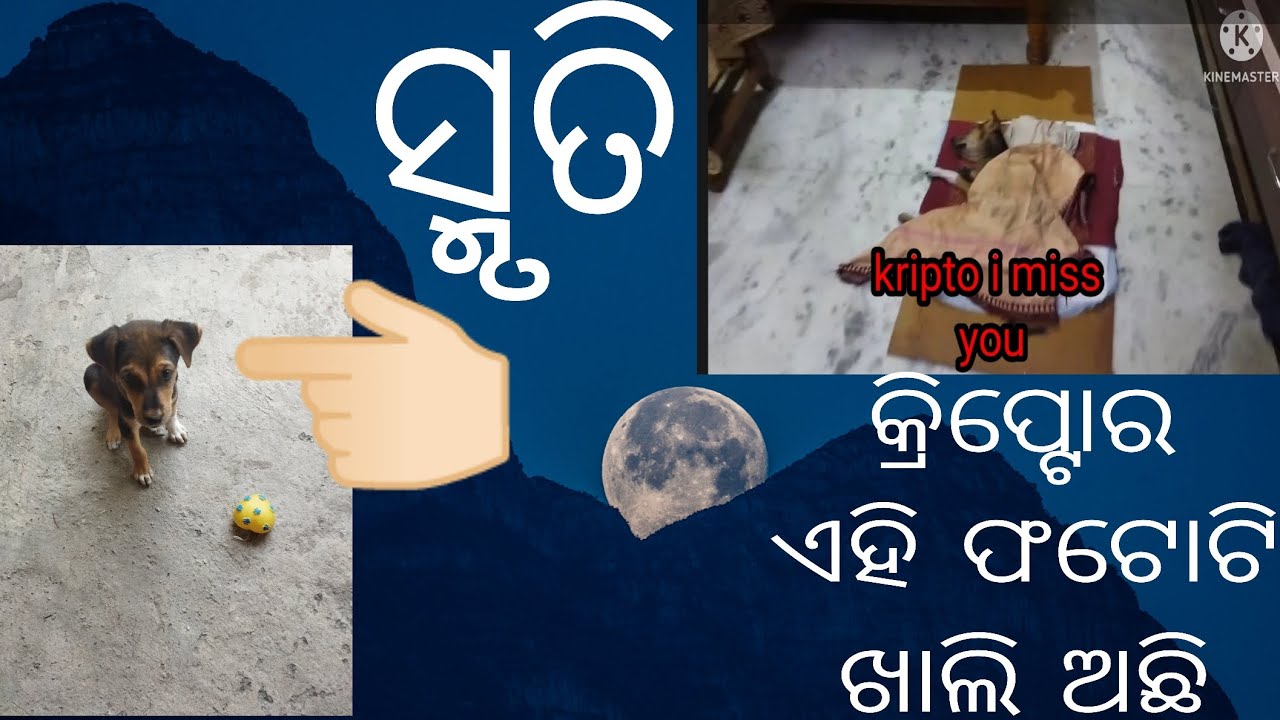 କ୍ରିପ୍ଟୋର ଏହି ଫଟୋଟି ଖାଲିଅଛି ସ୍ମୃତିଟିଏ ହୋଇ ଥିଲେ ଏବେ କେତେ ବଡ଼ ହୋଇ ସାରନ୍ତାଣି🙏🏻🥺by maitri chhanda samal