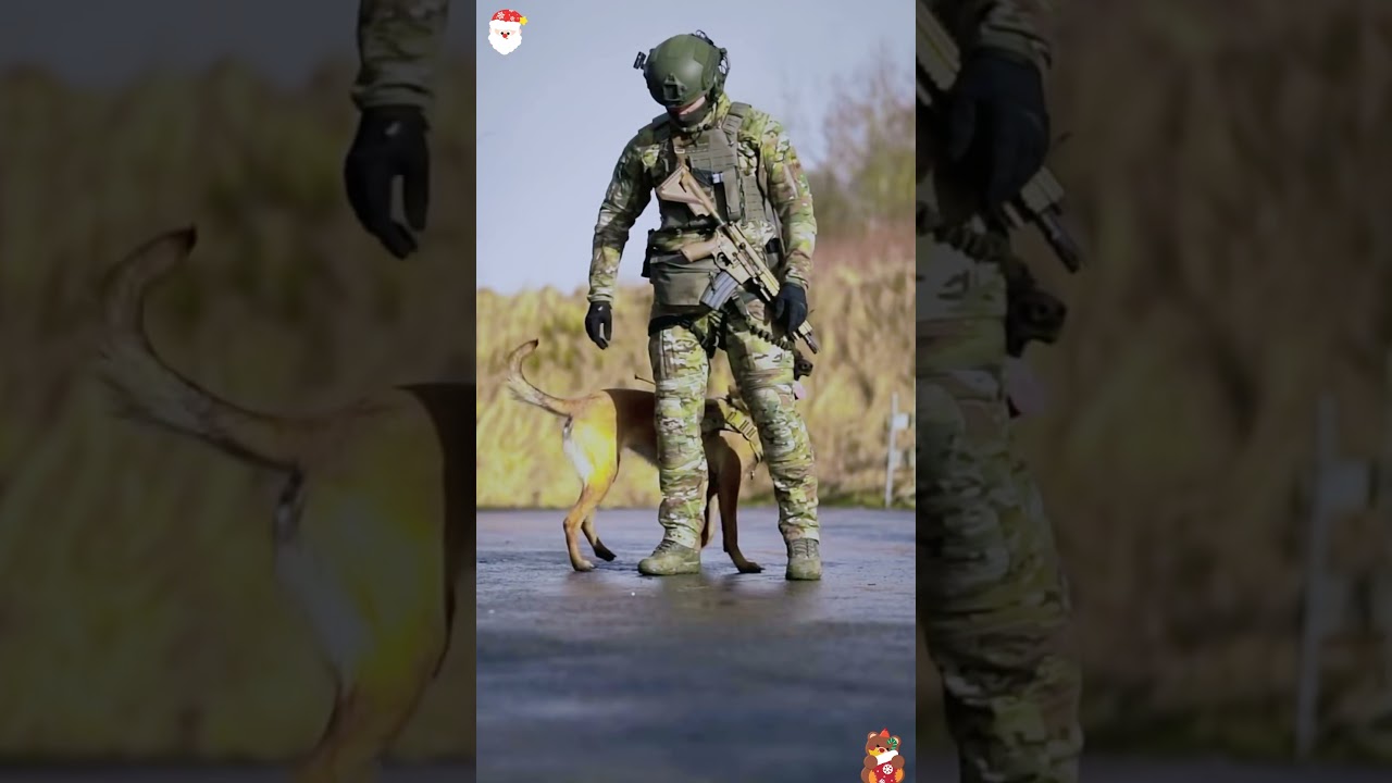 Trainer & K9 Move Like One!#lawenforcement #k9handler #militarydog #K9training