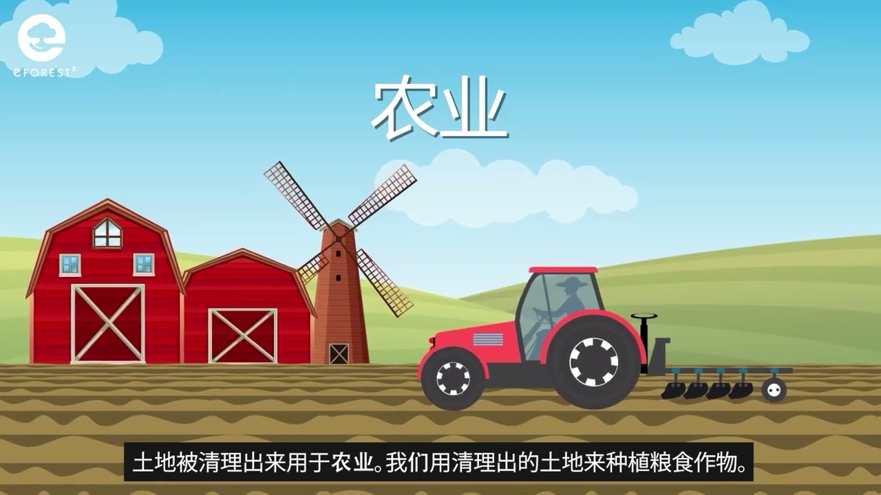 e森林&sup2;世界&mdash;&mdash;毁林、影响和解决方案
