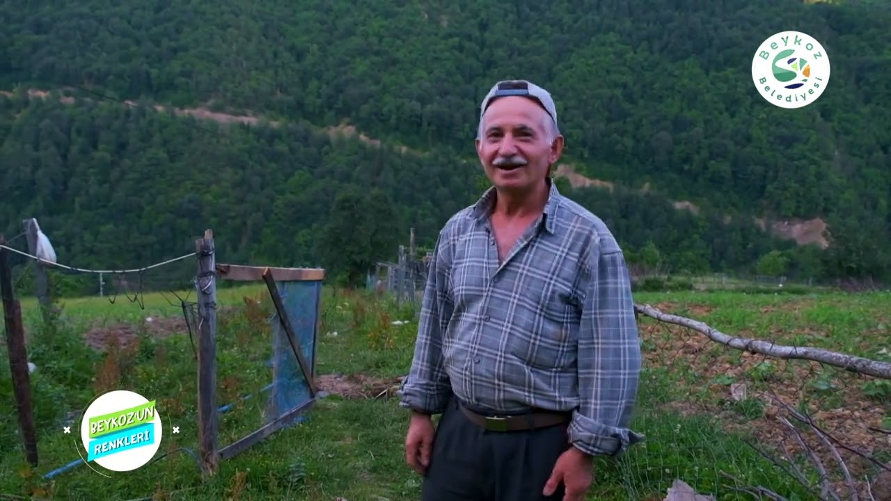 BEYKOZ'UN RENKLERİ: KASTAMONU BOZKURT ORTASÖKÜ KÖYÜ