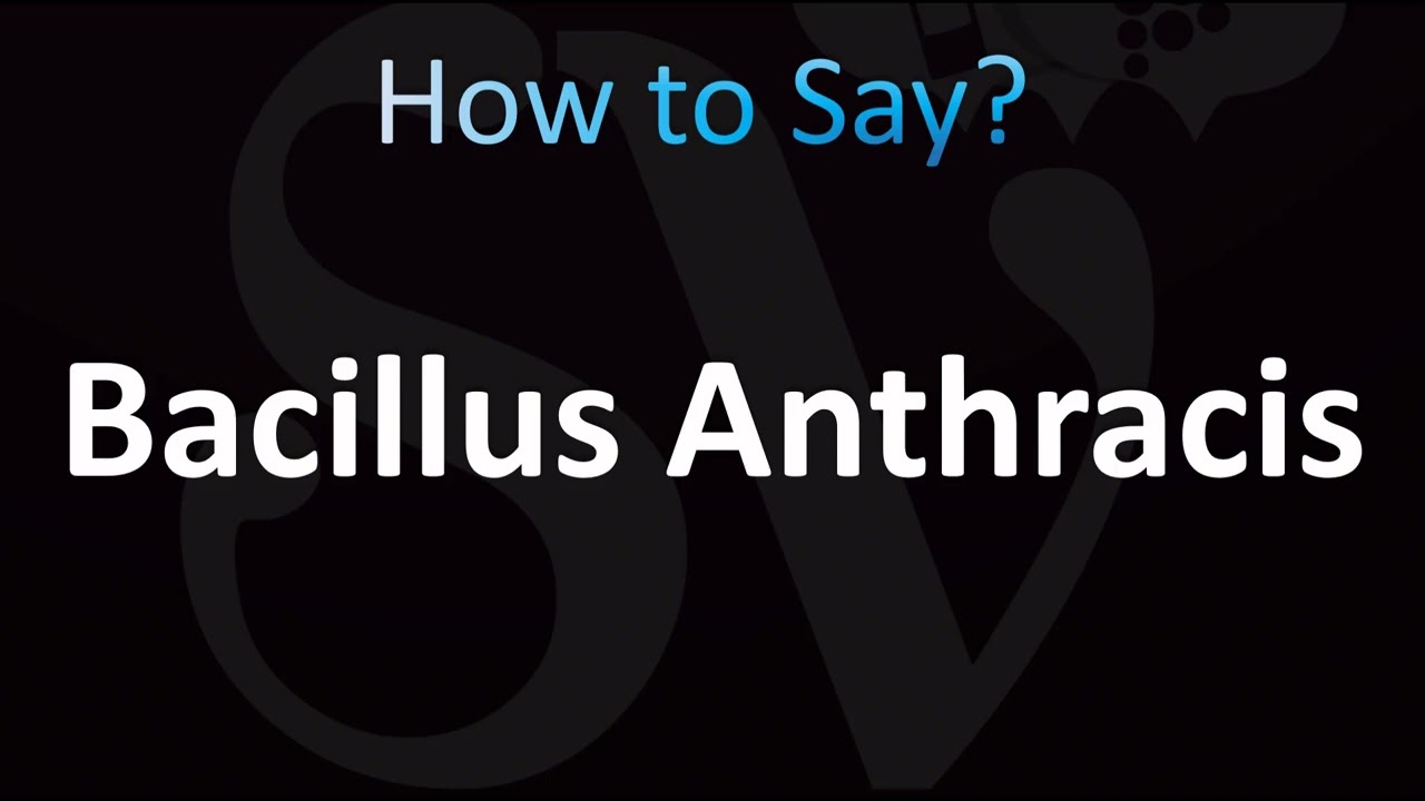 How to Pronounce Bacillus Anthracis (CORRECTLY!)