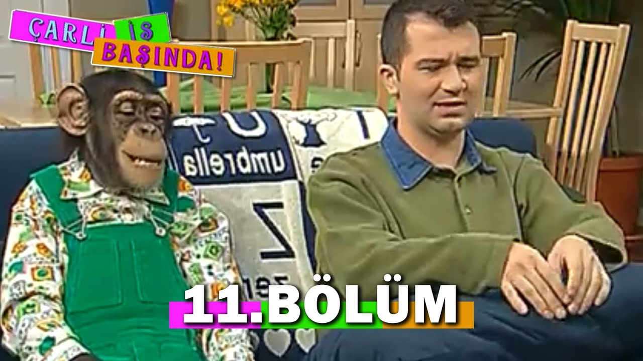 Çarli İş Başında 11. Bölüm - FULL BÖLÜM