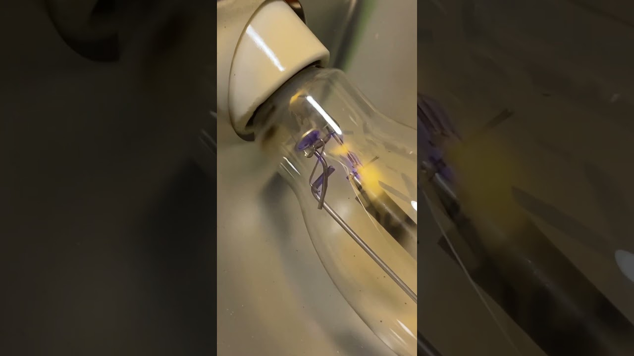 HPS light not igniting