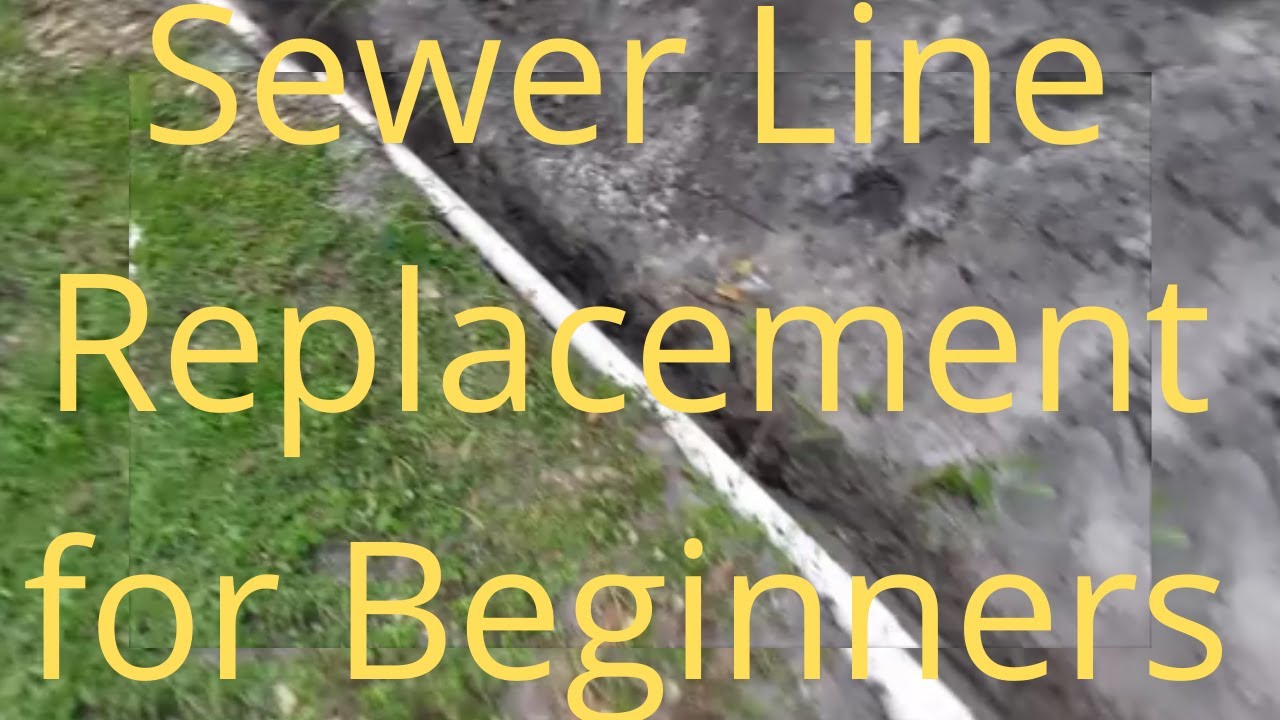 Sewer Line Replacement For Beginners