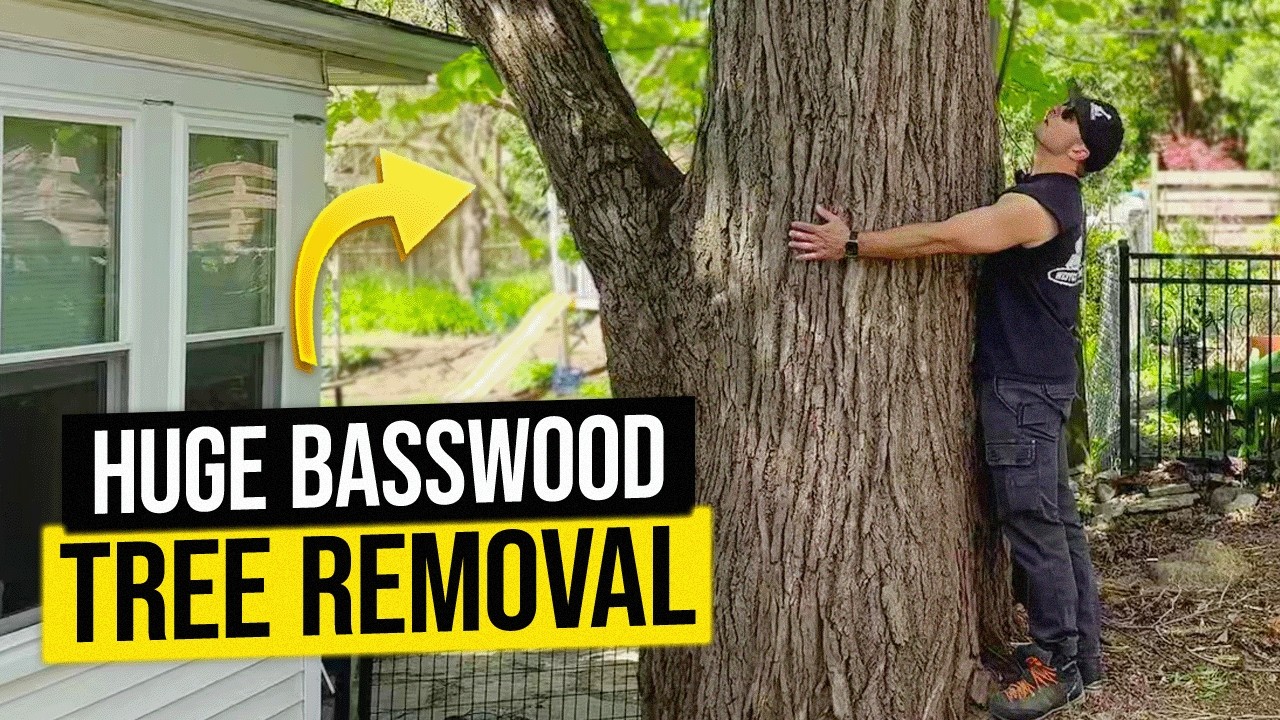 Tree Removal Made Easy! 3-Man Crew + Knuckle Boom Crane!