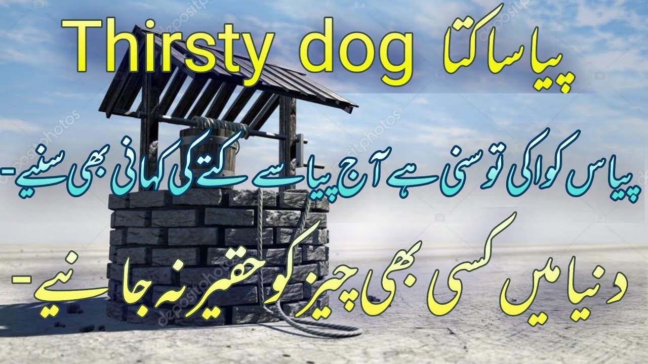 payasa kutta (thirsty dog) پیاسا کتا #urduislamicguidance #thirsty #urduqissa #janat