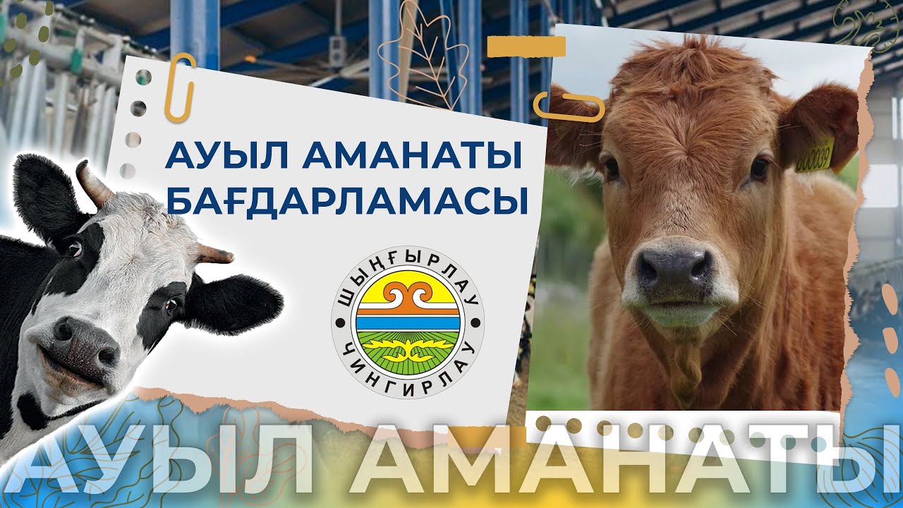 Ауыл аманаты» жобасының басты мақсаты – ауылды жерлердегі халықтың табысын арттыру.