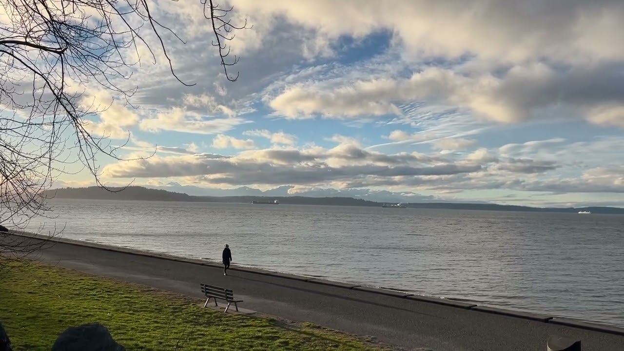 Elliott Bay from Alki Beach, Seattle