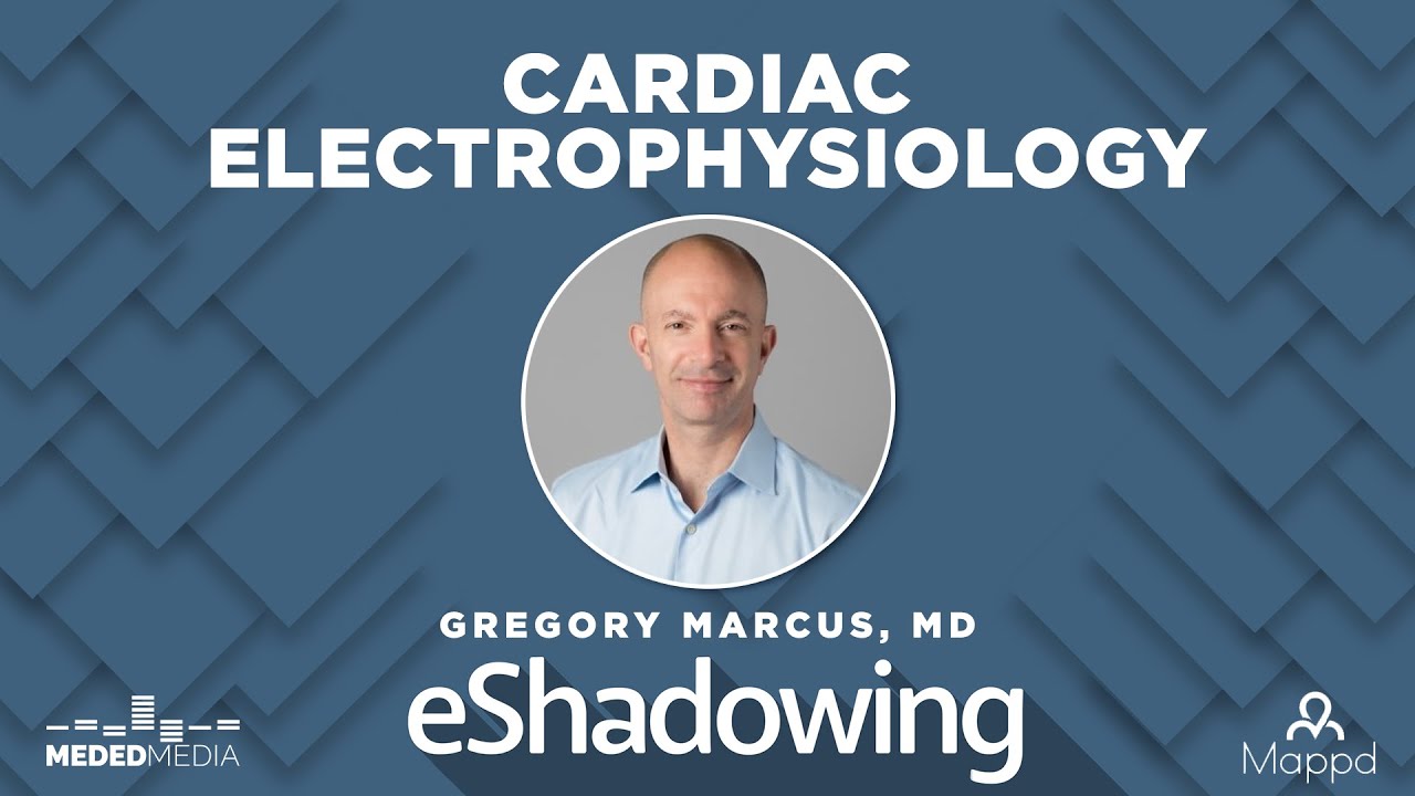 Solving the Puzzles of the Heart With Dr. Gregory Marcus