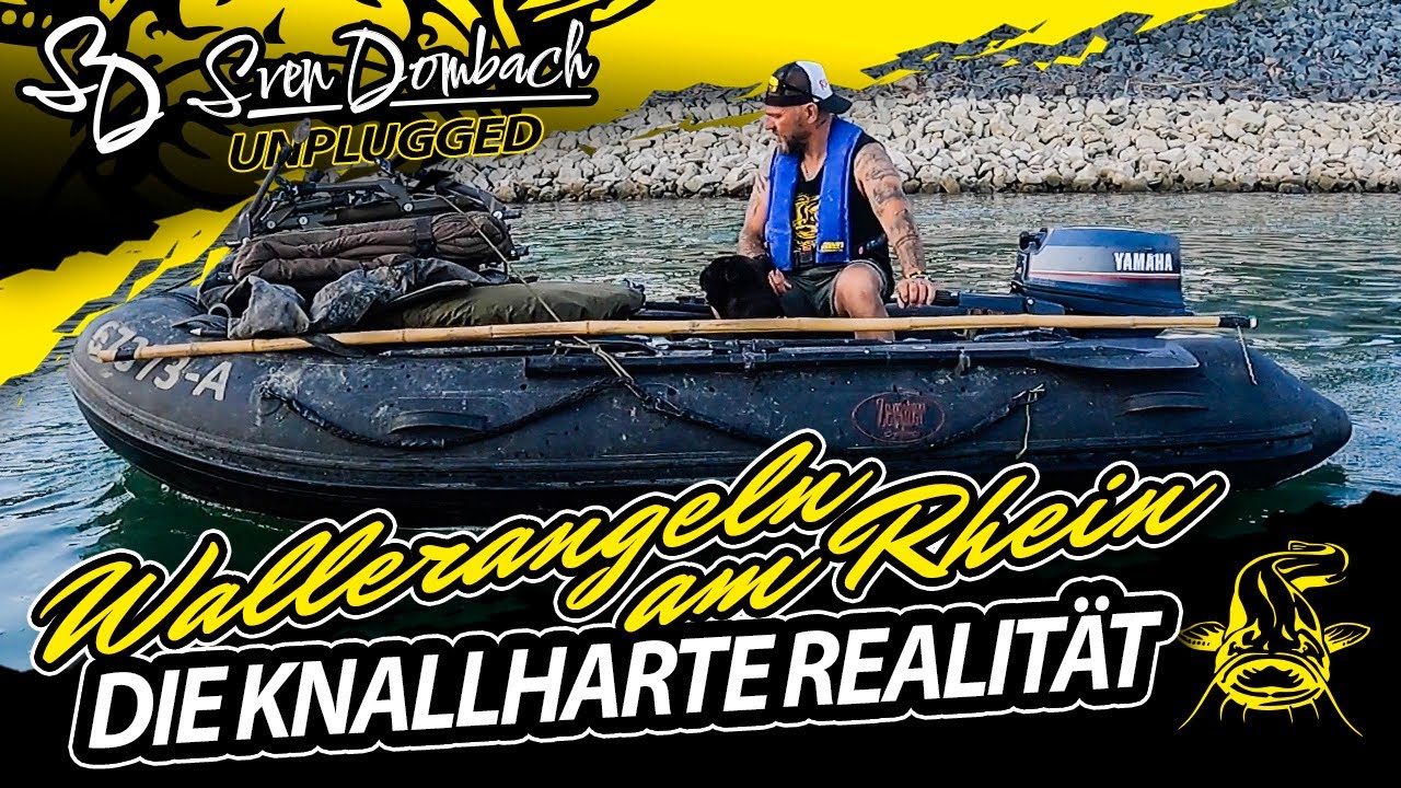 Wallerangeln am Rhein | Deutschlandwaller | DIE KNALLHARTE REALIT&Auml;T | Sven Dombach unplugged