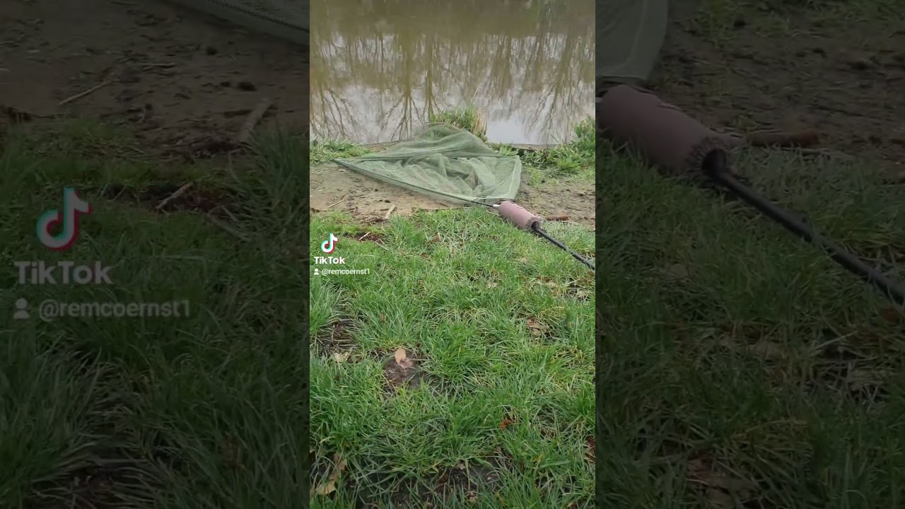 #karpervissen #youtube #karper #schubkarper #catchandrelease #fishinglife #spiegelkarper