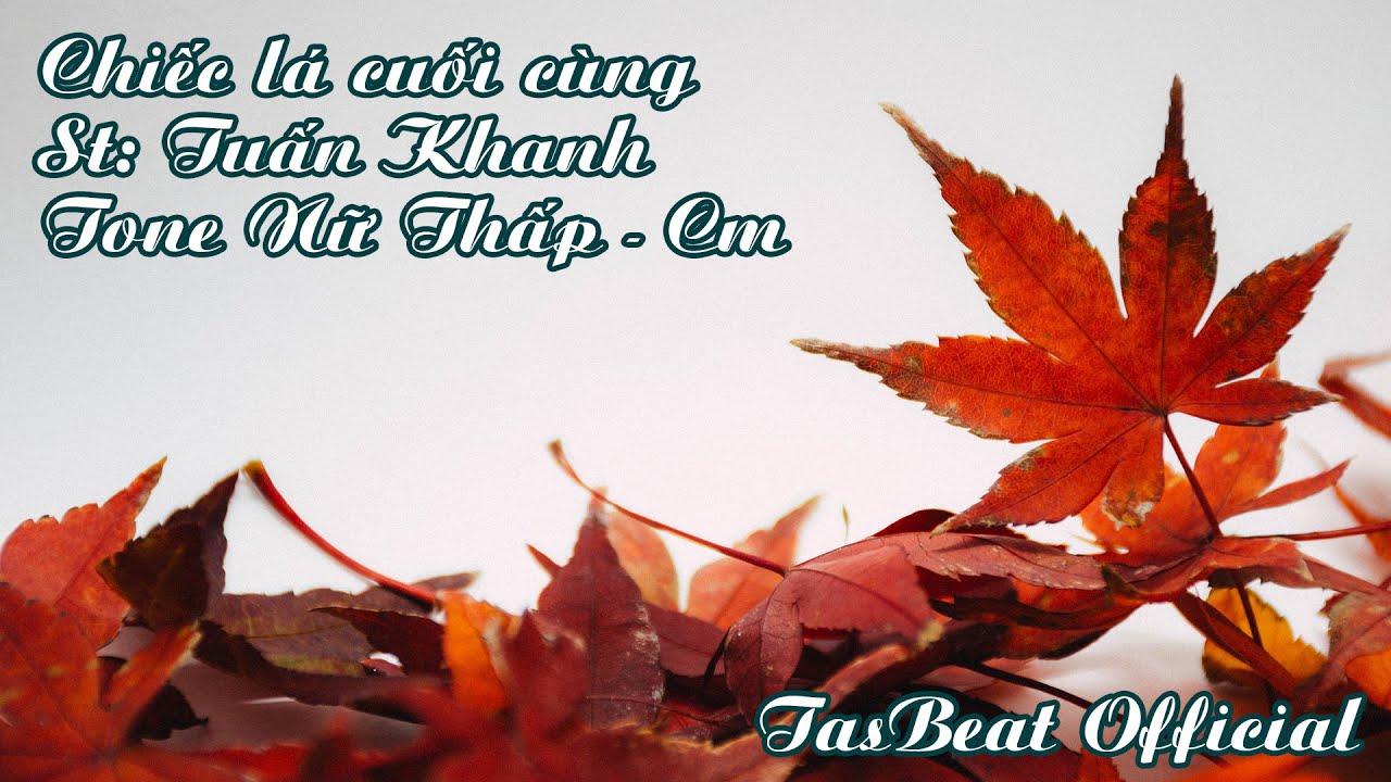 Karaoke Chiếc Lá Cuối Cùng - Tone Nữ Thấp | TAS BEAT