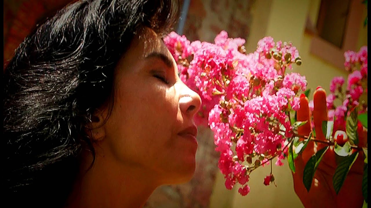 SONIA VEGA   &uml;De la Nada&uml; videoclip