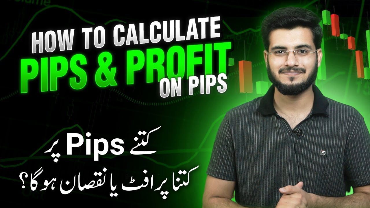 What is Pip in Forex Trading - How to Calculate per Pip Profit & Loss