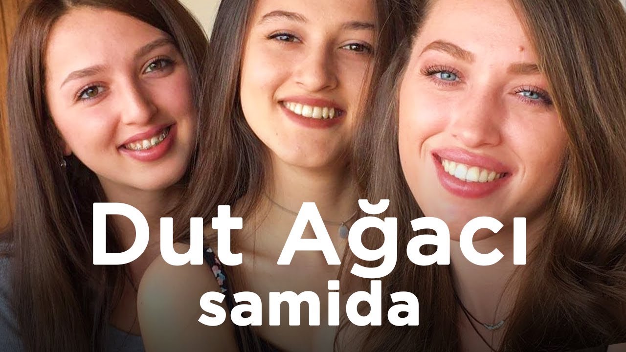 SAMİDA - Dut Ağacı