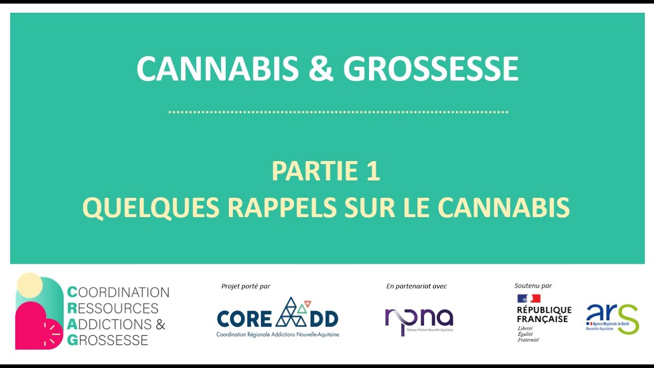 CANNABIS & GROSSESSE | Partie 1 : Quelques rappels sur le cannabis