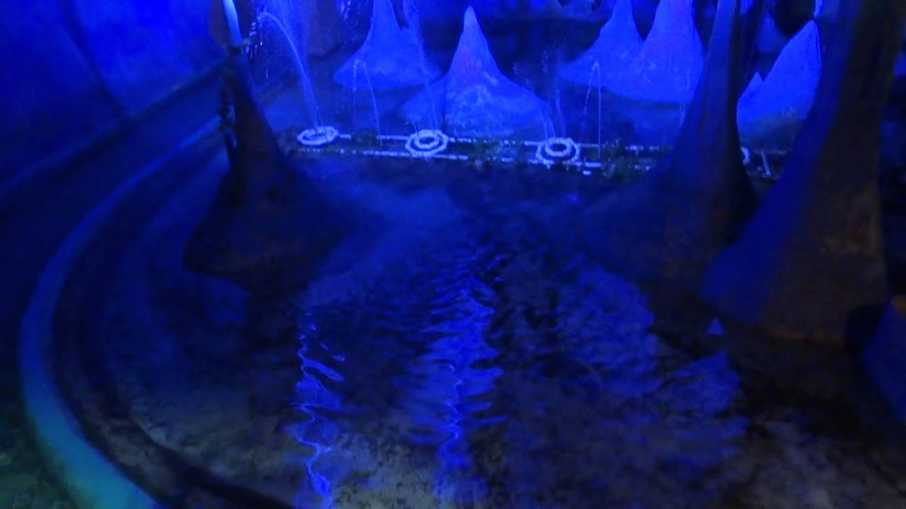 The Blue Grotto / Magnolia Café RIP :(