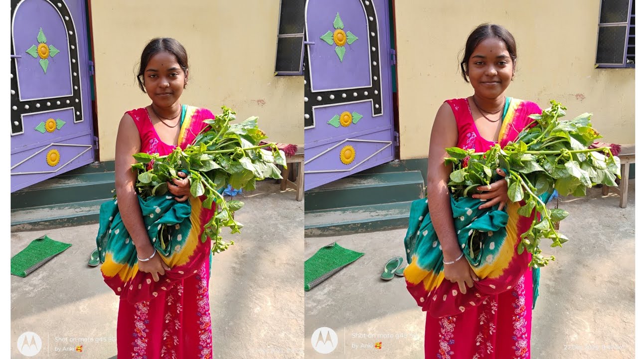 দেখো আজকে মাঠের সব সবজি আমি একাই নিয়ে চলে আসলাম 🥱😏