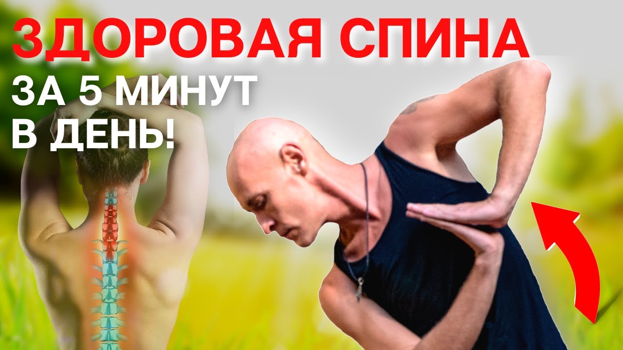 ЗДОРОВАЯ СПИНА И ПОЗВОНОЧНИК ЗА 5 МИНУТ В ДЕНЬ! ЭВОЛЮЦИОННЫЙ ЦИГУН - Ян Спартак Поединков
