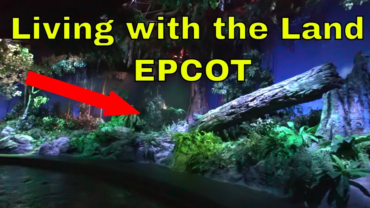 Living with the Land ride POV - EPCOT: Full Complete Experience | Low Light | Ridethrough