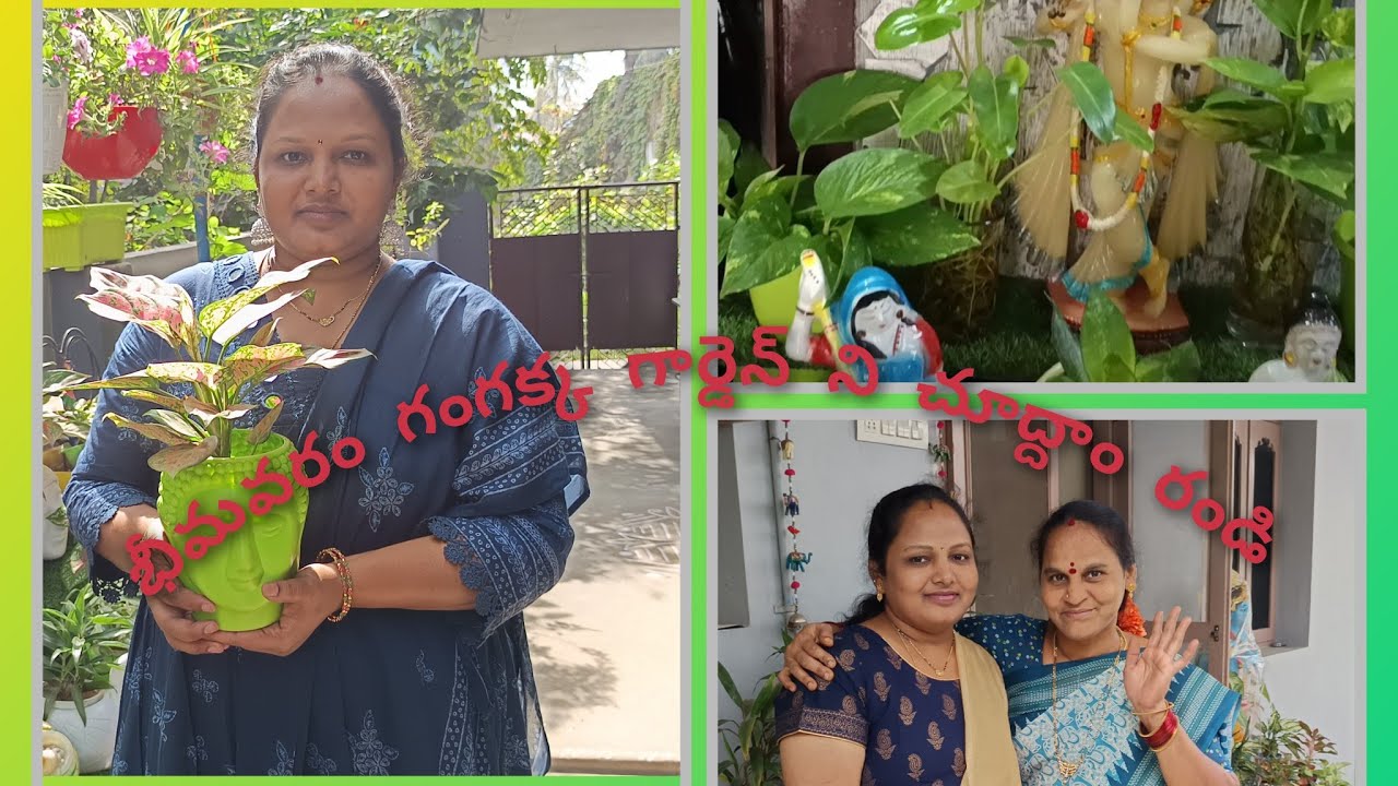 భీమవరం గంగక్క గార్డెన్ ని చూద్దాం రండి 😍//గార్డెనింగ్  vlogs//you tube videios 