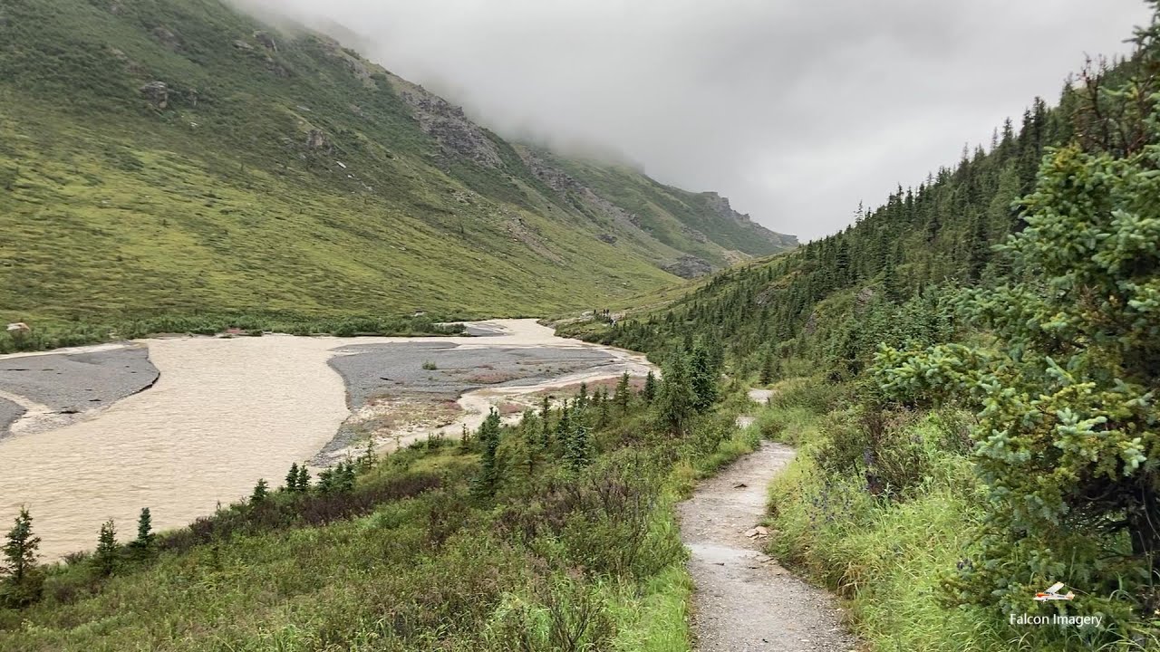 Hiking Savage River Loop Trail Denali Park