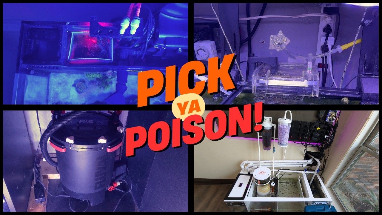 What filtration should you run on your reef tank?!
