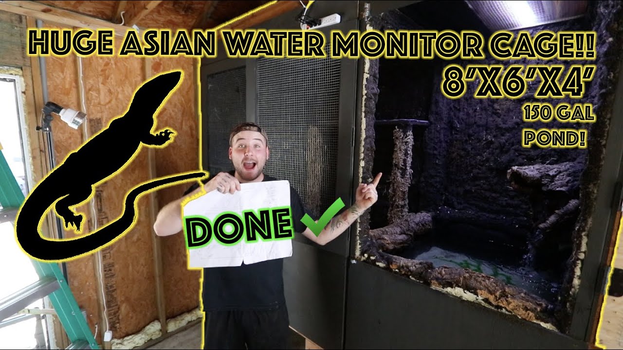 PRO-LEVEL ASIAN WATER MONITOR CAGE BUILD IS DONE! (Pt. 2)