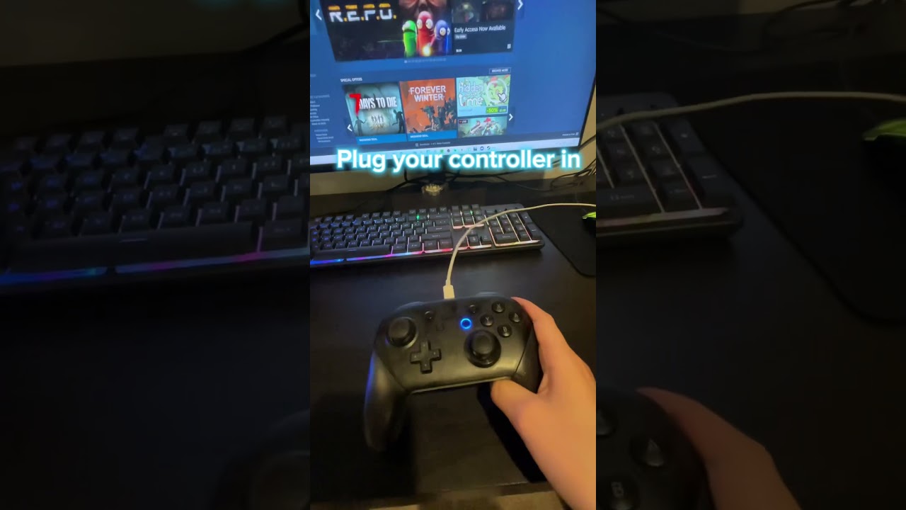 How to set your Nintendo pro controller up to your PC ￼