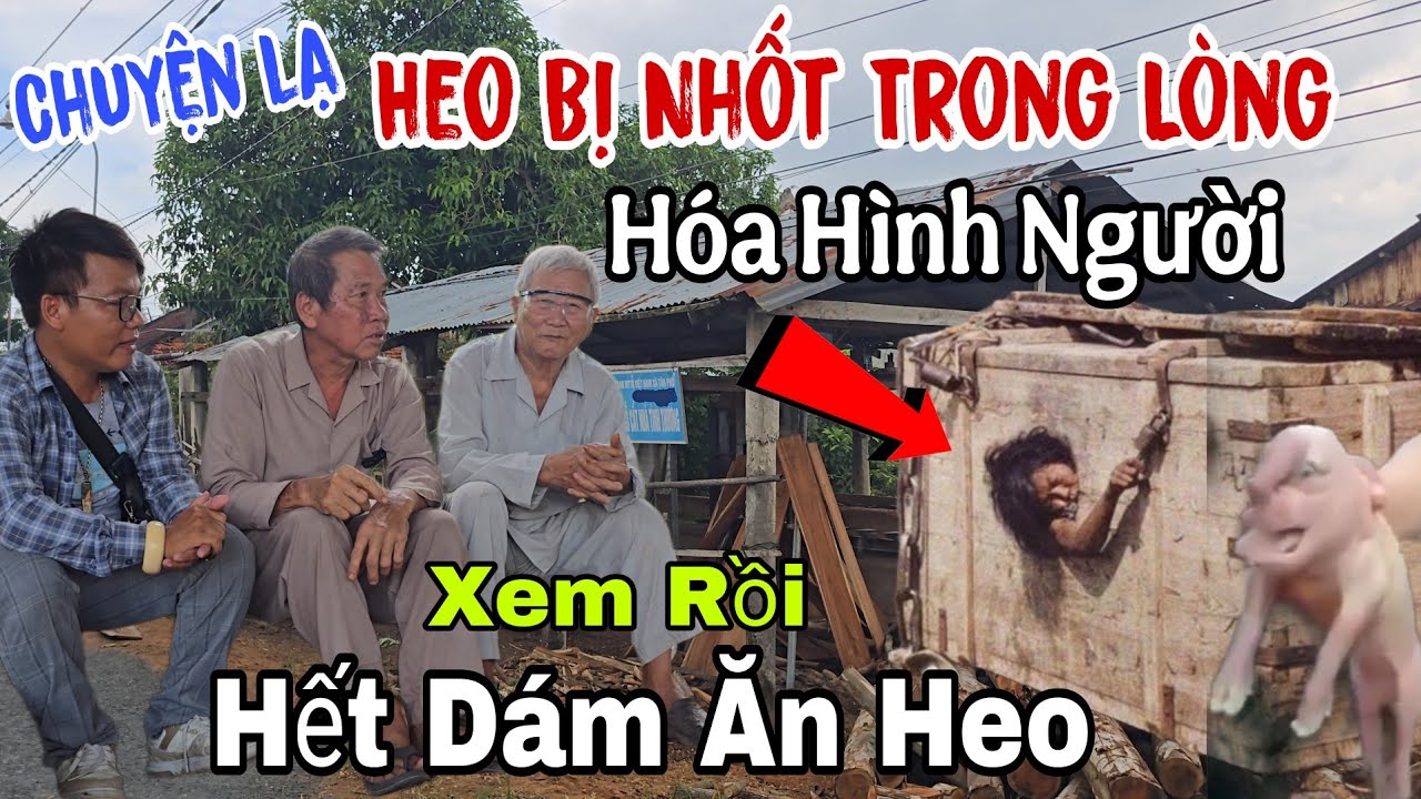 Kỳ lạ 💥 Heo nhốt trong lòng 👉 hóa hình người ( chú Bảy xanh mặt - quay đầu Tu | Châu Phú Area 51