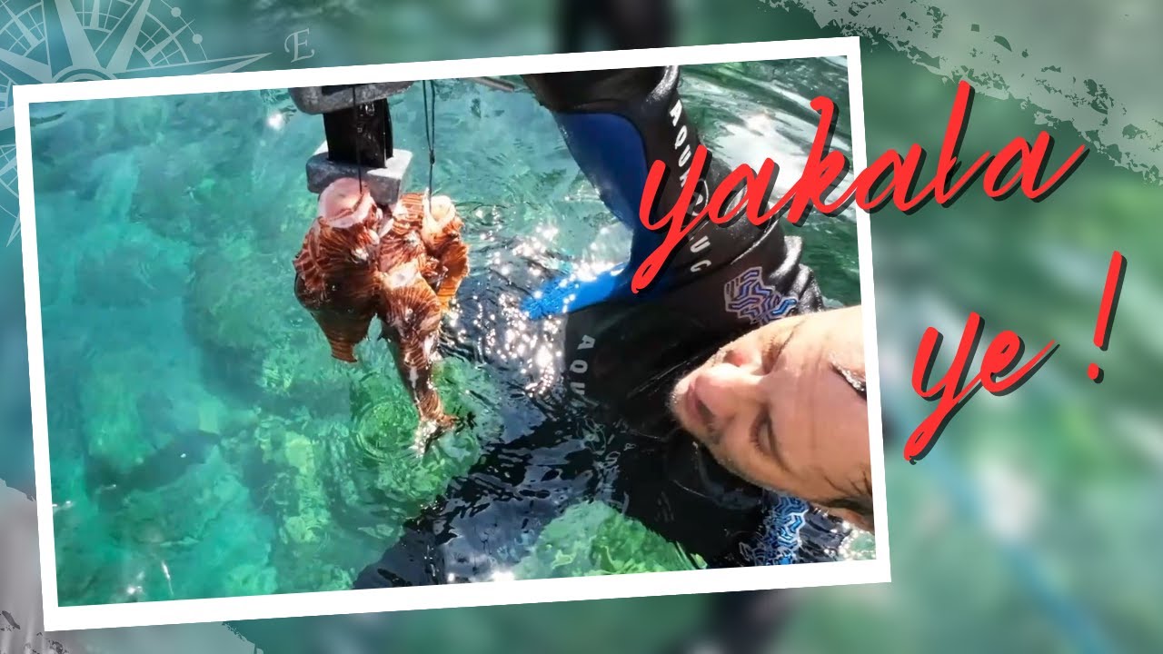 Yakaladık Pişirdik Yedik ! | Teknede 3 gün balık | Muhteşem maviş deniz anası