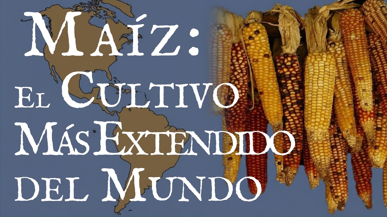 Maíz, el Cultivo Más Extendido del Mundo