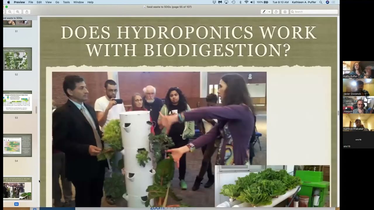 Application of small-scale biogas