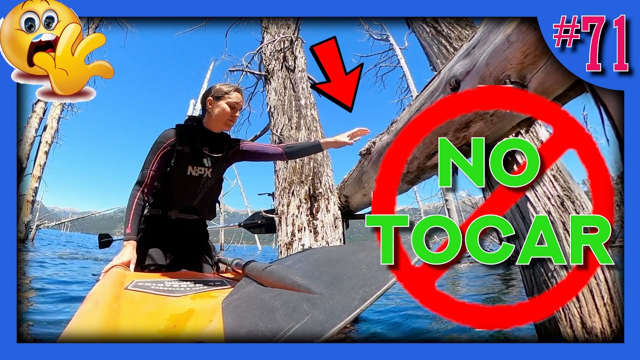 💥 Este BOSQUE SUMERGIDO NO se puede TOCAR [Lago Traful, Patagonia, en Kayak] #71 - Chez Team