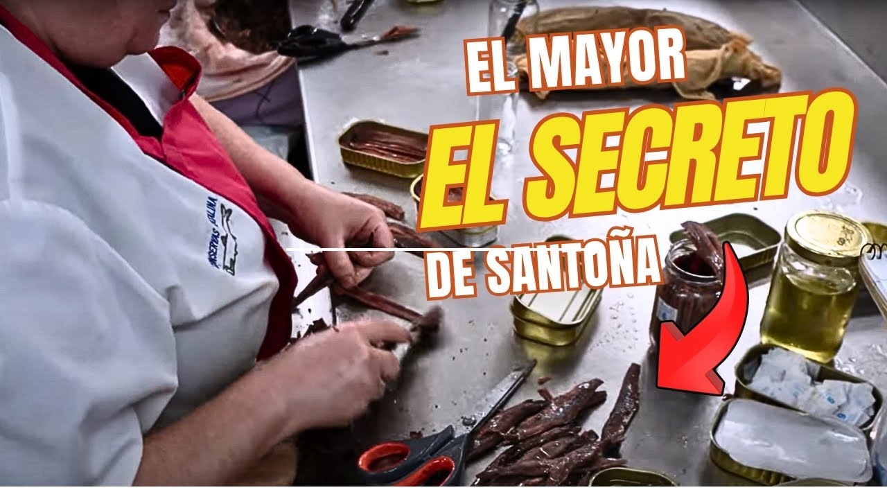 Así hacen las mejores anchoas del mundo en Santoña