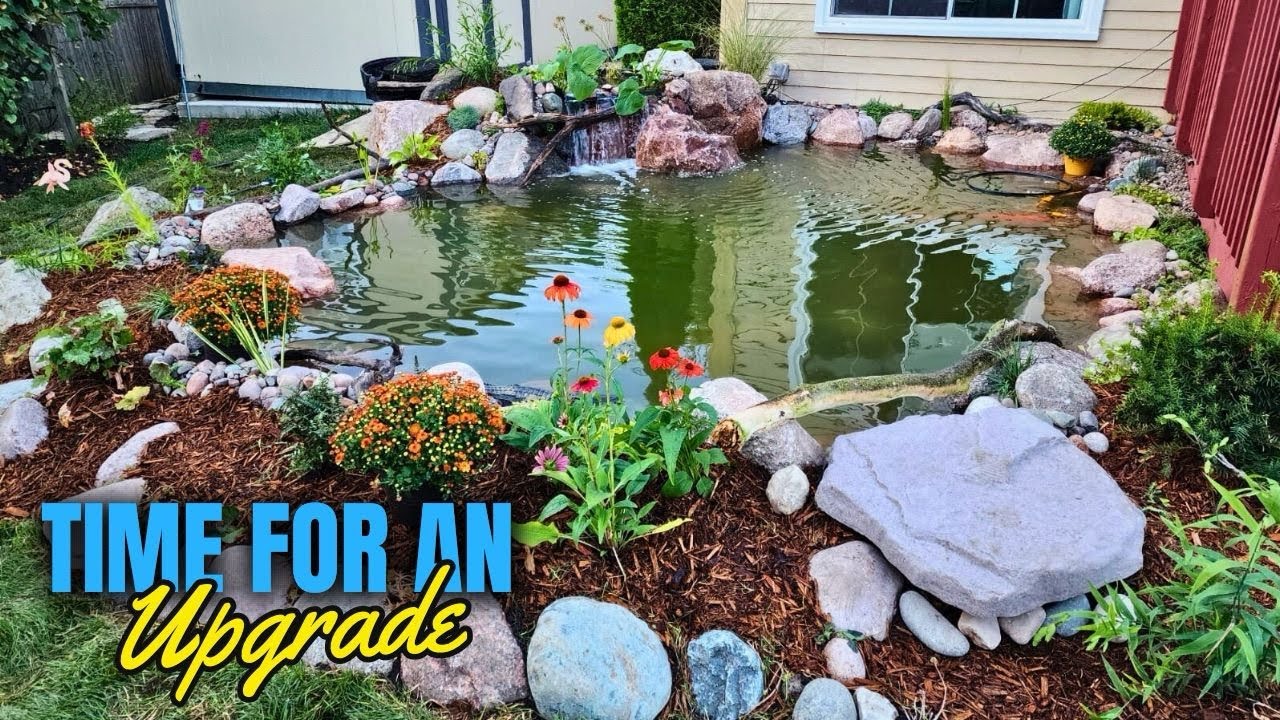Koi Pond Upgrade