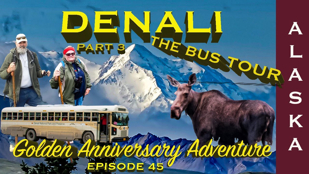 Ep 45 Exploring the Majestic Denali: Tundra or Transit Tour Bus Adventure - Which one is best deal?