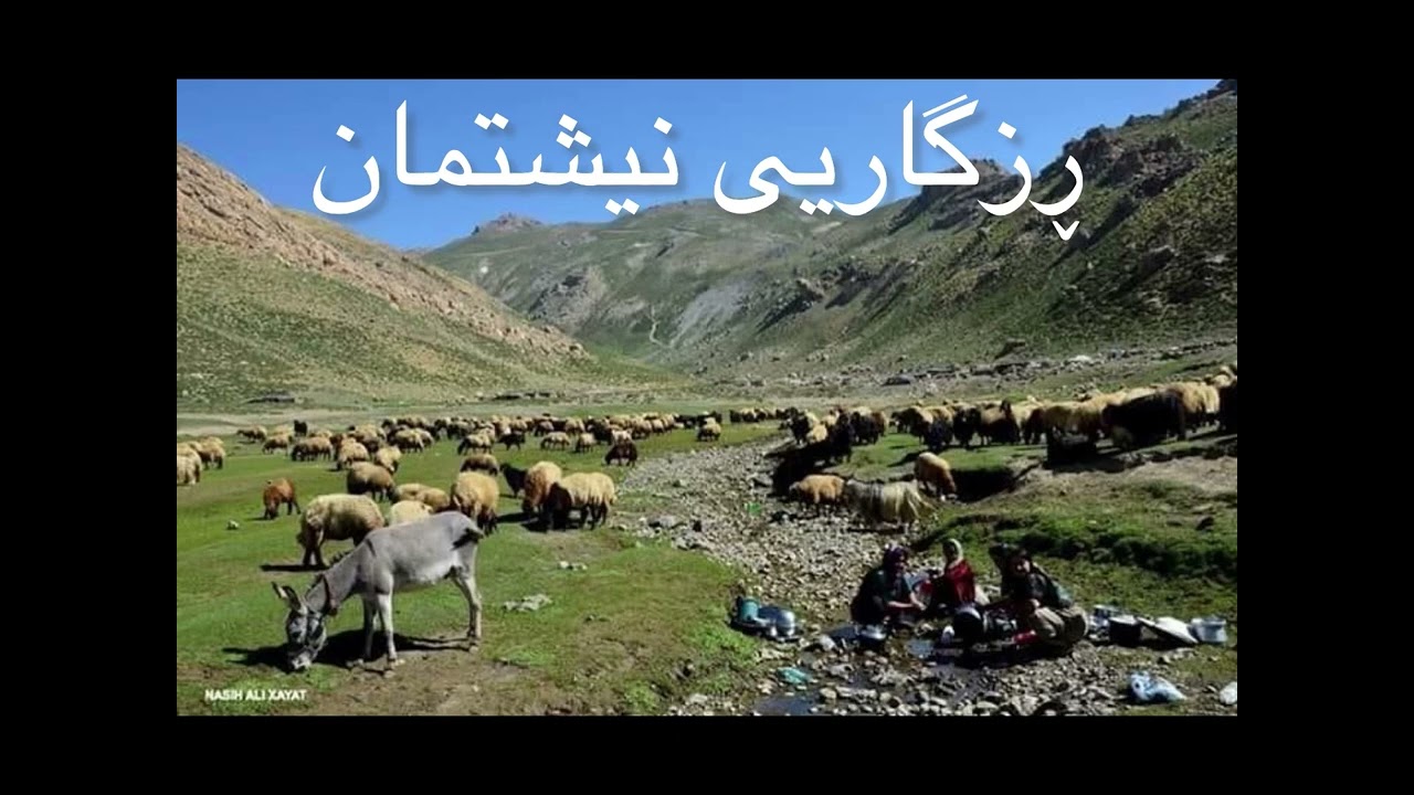 هەڵاڵان - دەقە هۆنەی ( ڕزگاریی نیشتمان)، نووسین و پێشكەشكردن:هەمزەی هەڵاڵان .