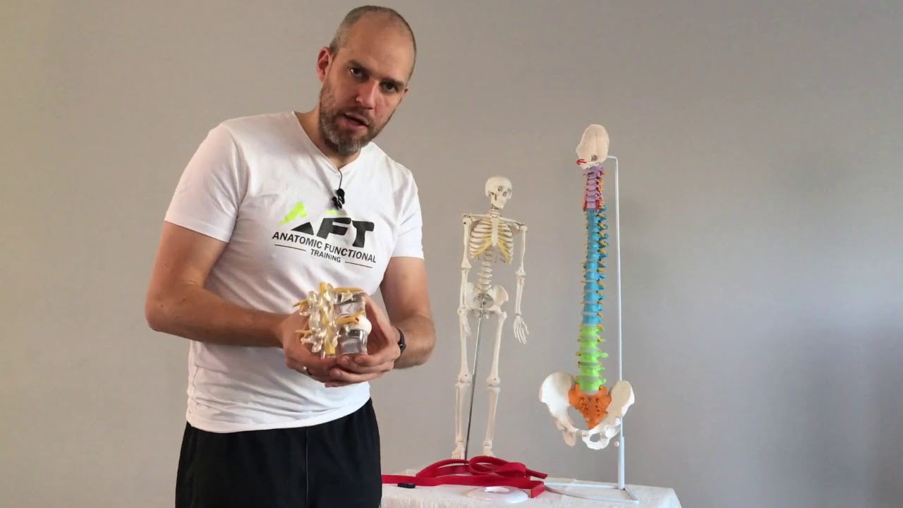 Selkä kuntoon osa 1 - Anatomia ja hoitomuotojen ristiriidat. Miksi niin moni ei saa apua?