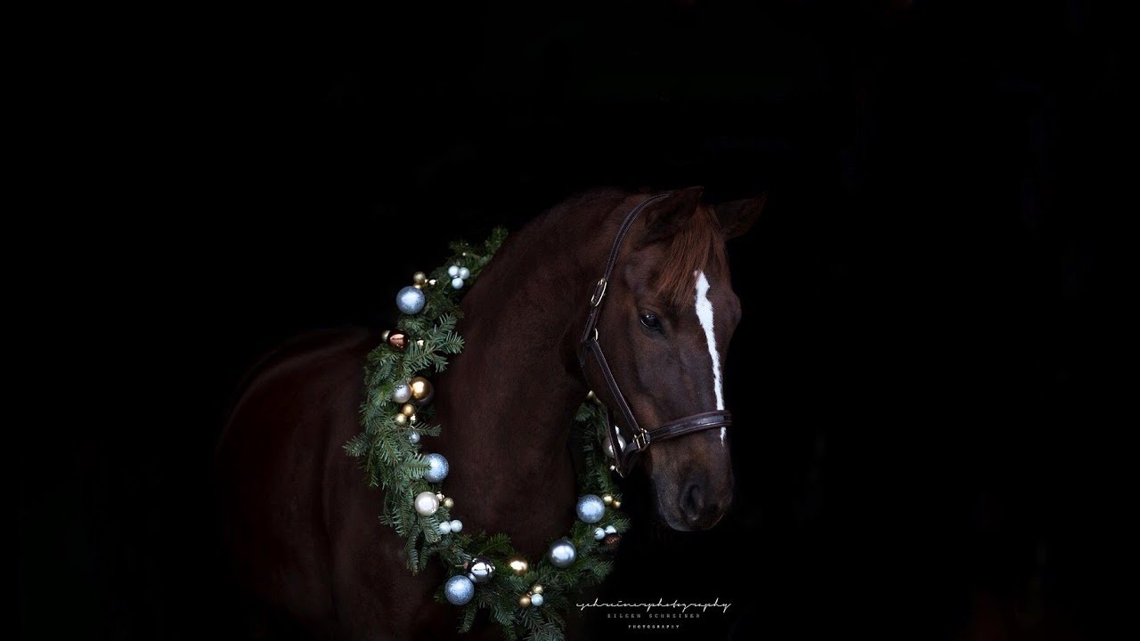 FMA Weihnachtsshooting mit Kranz-Tutorial