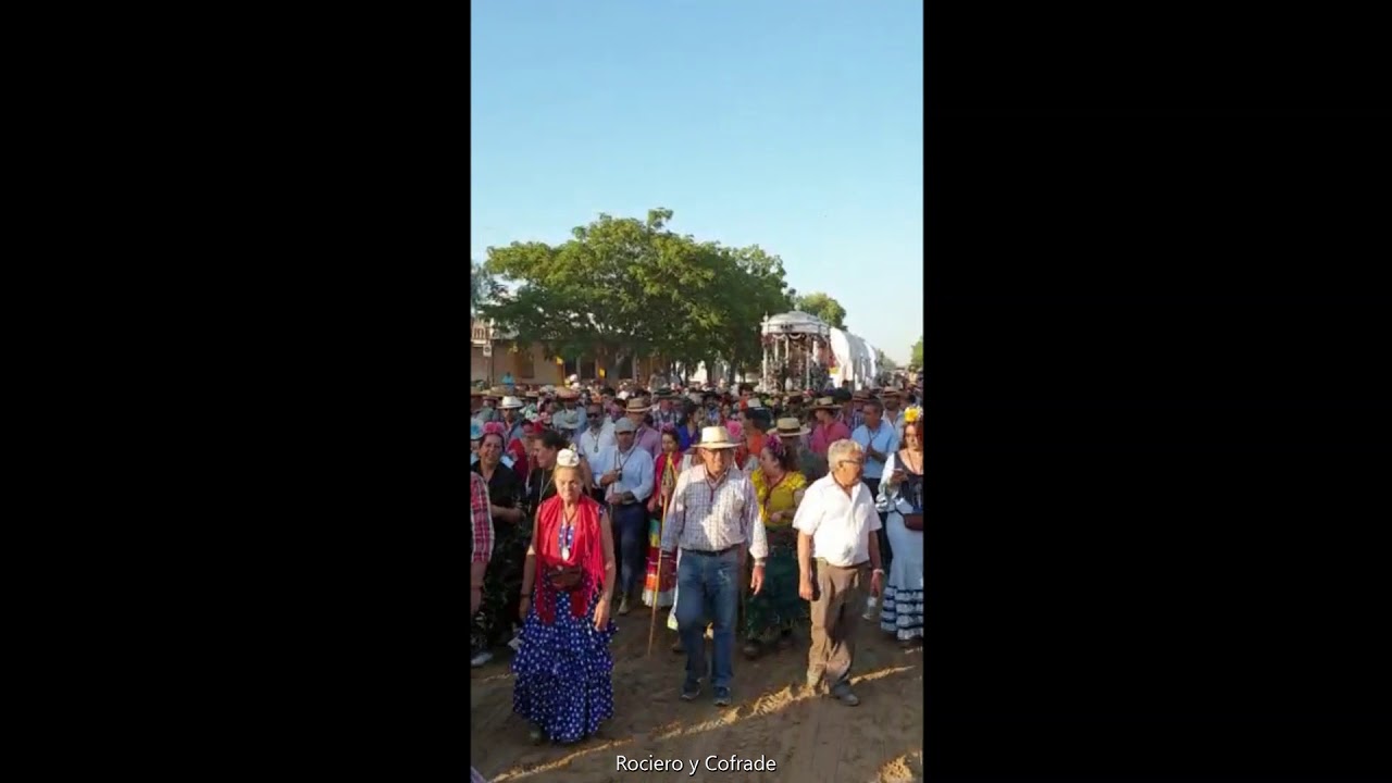 Hermandad del Rocío de Coria del Río (Viernes camino de ida)