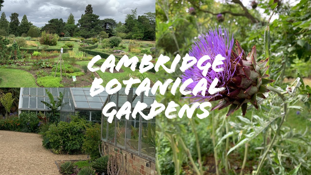 Cambridge Botanical Gardens -August 2023