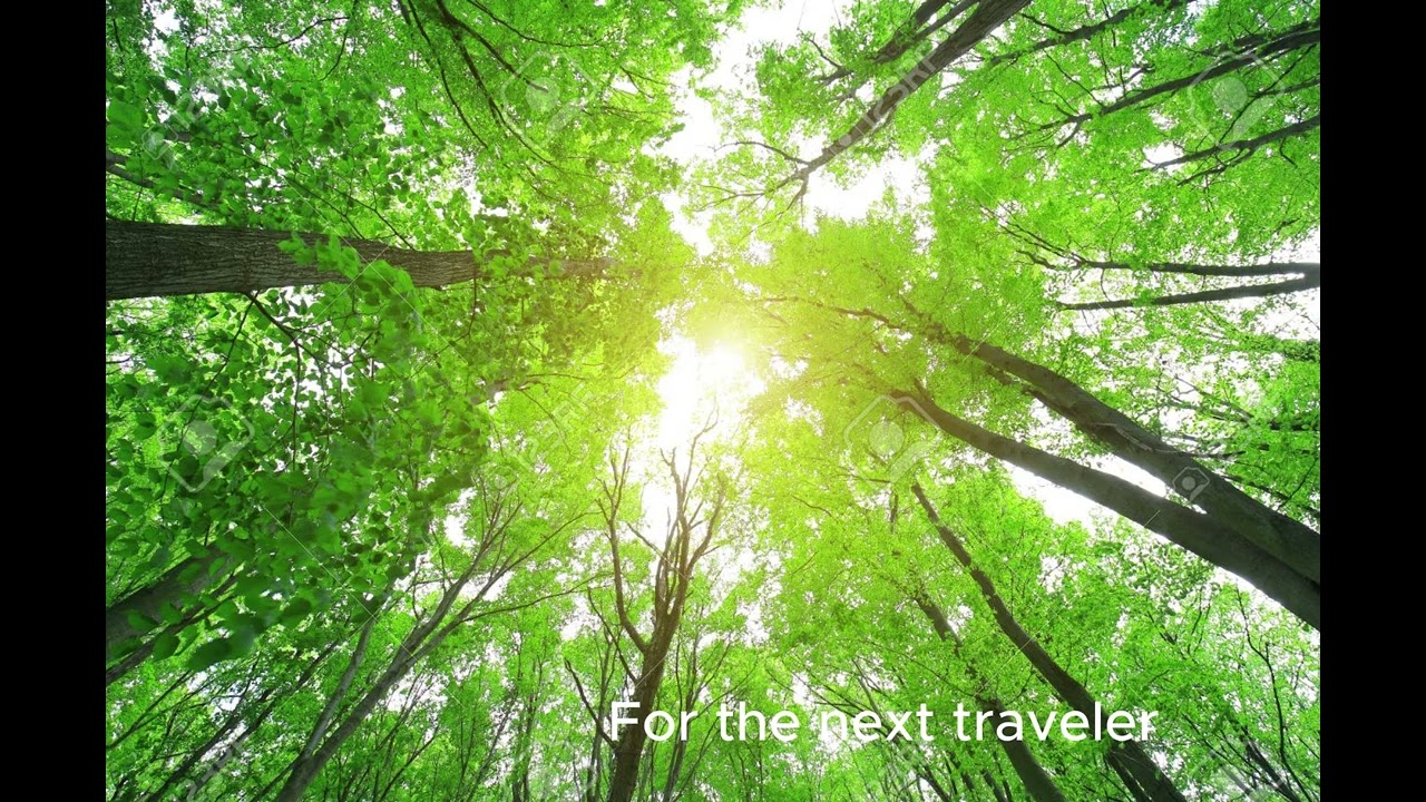 [NADA Music] 나를 치유하는 음악, For the next traveler