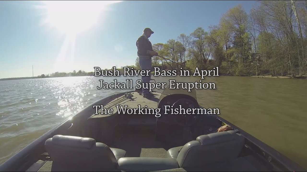 Spring Bass on the Bush River Jackall Super Eruption Spinnerbait